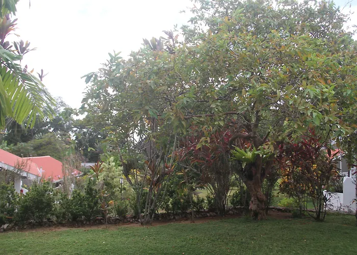 Bed & Breakfast Daniella's 3*