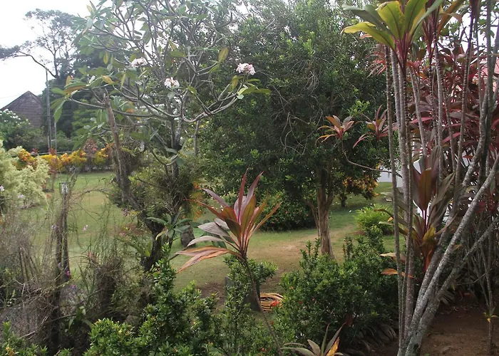 Daniella's Bed & Breakfast Bel Ombre